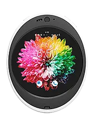 Dtoor&nbsp;Cyrcle Phone 4G