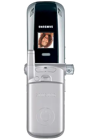 Samsung&nbsp;SGH-Z110