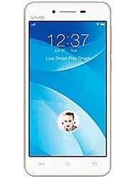 Vivo&nbsp;V1