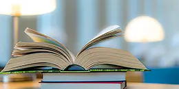 Glossar der genutzten Fachbegriffe